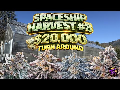 THE $20,000 SPACESHIP TURN OVER