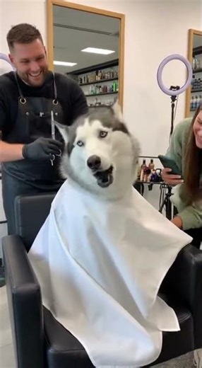 He wants to file a complaint 🐾