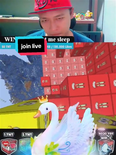 One of the best Gifts in my LIVE. Thank you, FJ! For your support to my content. @FJ #tiktoklive #livehighlights #livegift #minecraft