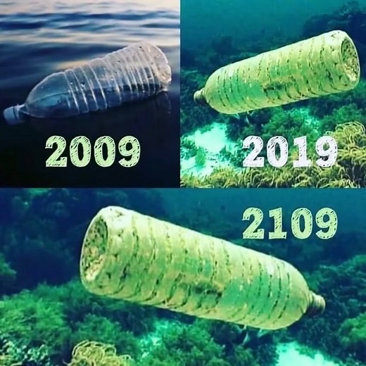 12K views · 309 reactions | SAD reality | Sickworld | Facebook