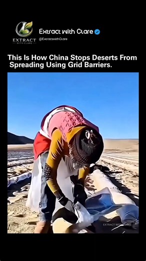 🌍 China’s Genius Desert Defense: The Grid That Stops Sand in Its Tracks!