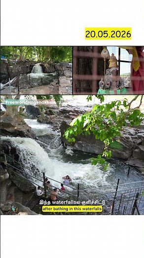 ✨Today ✅Hogenakkal New🎊 Update CiniWaterfalls🌊💫 #cinifalls #hogenakkal #ontrending #shortsfeed
