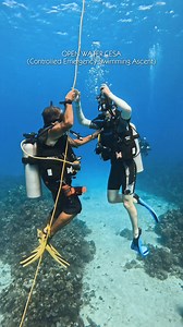 Did you know that mastering the Controlled Emergency Swimming Ascent (CESA) is a crucial part of the PADI Open Water course? 🐠 This skill is essential for ensuring your safety underwater, allowing you to ascend calmly and controlled in emergencies. 🌟 In a situation where you may experience equipment failure or find yourself low on air, performing a CESA can be a lifesaver! 🆘 Not only does it help you rise safely to the surface, but it also minimizes the risk of complications such as decompres