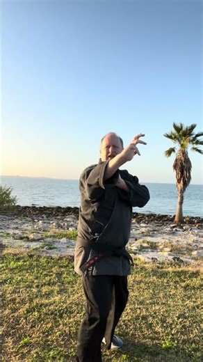 Delayed Sword is a defense against a right punch.