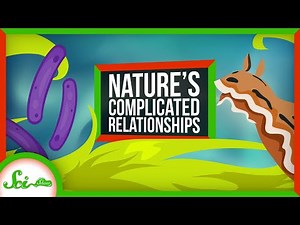 Symbioses Are Way More Complex Than You Think!