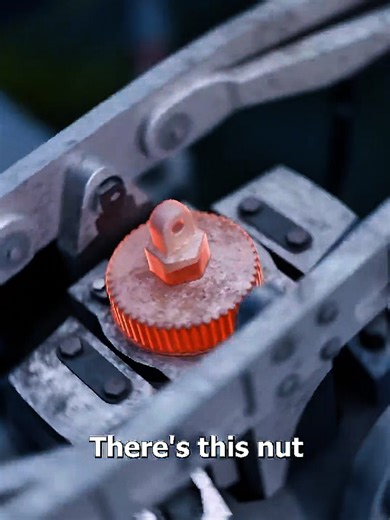 Understanding the Jesus Nut and its Symbolism in Faith