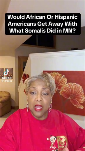 Yusef El on Instagram: "Somalis have been stealing Tax Payer money for Decades."