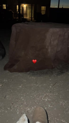 Seek and Destroy: The Ultimate Favorite Game