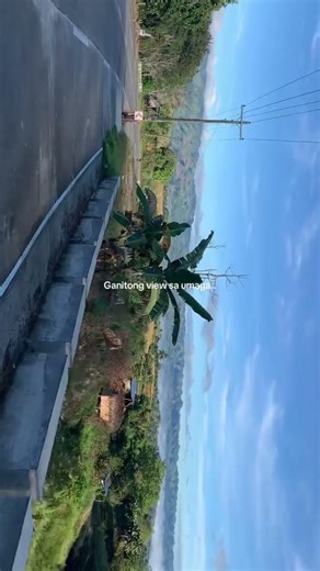 Morning view #morningview #mountainview