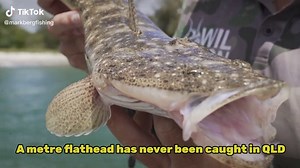 Mark Berg’s Fishing Addiction on TikTok