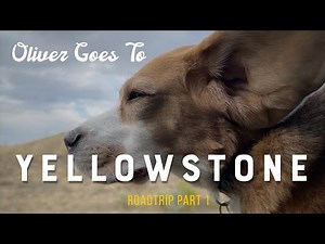 2023 road trip! Oliver goes to Yellowstone in his new truck 🛻 (Part 1)