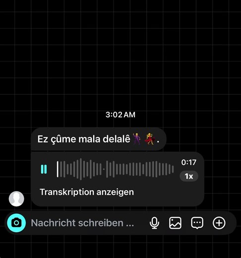 Ez çûme mala delalê🕺💃. #kurdisch #kurd #stran #musik #عفرين_قامشلي_كوباني_درباسيه_ديريك