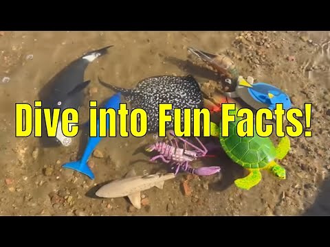 Ocean Creatures Fun Facts! Learn with Toy Animals for Kids 🐠
