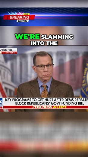 2.3K views · 36 reactions | The shutdown hits its first major crisis. Travel delays plus the SNAP benefit cutoff create a political powder keg. Democrats are furious the Trump admin isn't providing SNAP benefits, something that's always happened. Are Republicans lying about SNAP? #ShutdownImpact #TravelDelays #SNAPbenefits #PoliticalChaos #GovernmentShutdown | Conservative News Daily | Facebook