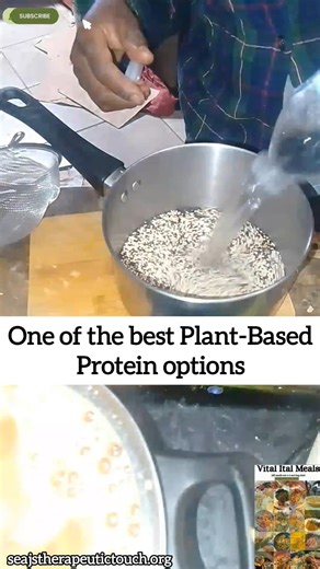Vegan protein