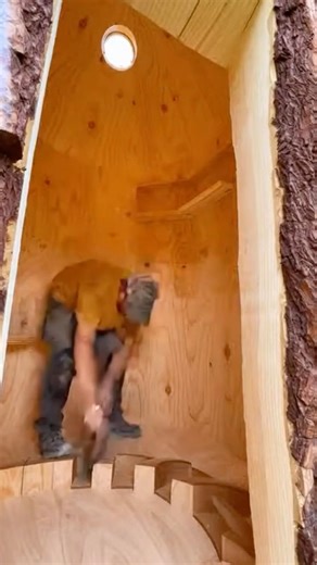 Building a Secret Tiny Home Inside a Massive Tree Stump 🌳🏠#shorts #treehouse #asmr #diy