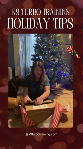 The lights are twinkling, the treats are flowing… and the dogs need a plan! So, we’re gifting our community something better than a fruitcake:  Real holiday tips from the K9 Turbo trainers  Training, management, and enrichment ideas  Zero judgment, lots of joy Stick with us all weekend for more festive dog wisdom. #dogtrainingtips #HolidayWithDogs #RealLifeDogTraining #positvedogtraining | K9 Turbo Training | Facebook