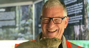 Tuatara guru: Surprise babies, missing Henry, and new enclosure disappointment