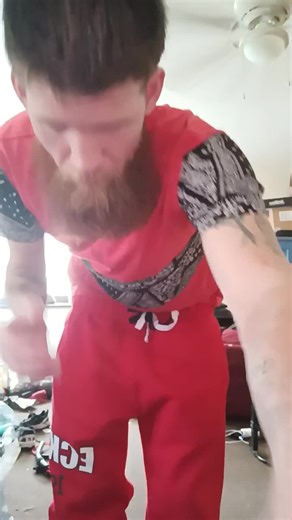 #dog #boxing #funny | dog