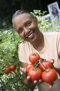 How to Use Zinc Sulfate on Vegetable Plants