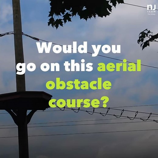 Experience the Turtle Back Zoo's treetop obstacle course.