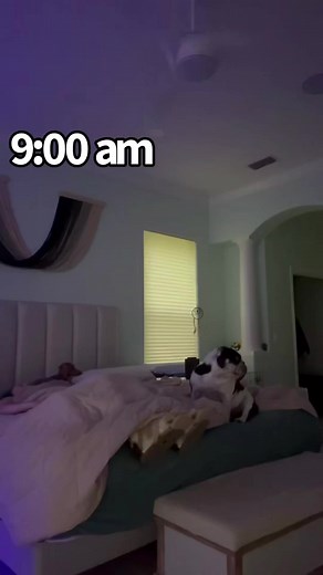 1M views · 16K reactions | A day in my life as a C5 quadriplegic! I absolutely love my life and I'm happy to share how I get about my day. This video is pretty long, but the full video is on my YouTube channel♥️ | Erin's Journey | Facebook