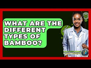 What Are The Different Types Of Bamboo? - Earth Science Answers