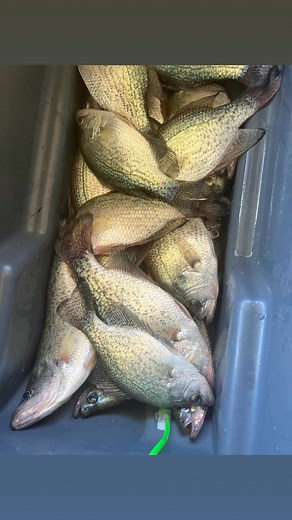 Kevin Hicks on Reels