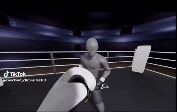 3d boxing guess the fighter #boxing🥊 #fypシ #3dboxing #im18tiktok⚠️