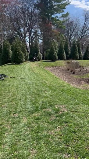 🤯🤯🤯 (@bl.desmond)’s videos with Lemon Glow - twitch.tv/gy4o