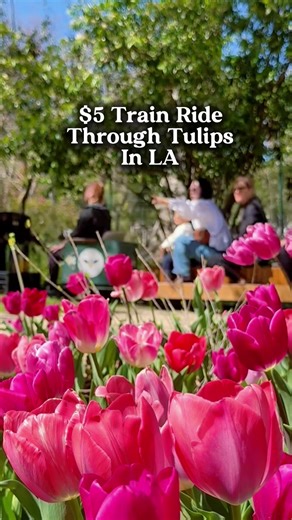 Experience a $5 Tulip Train Ride in LA County