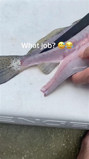 Please give me bluecard #rust #rustshorts