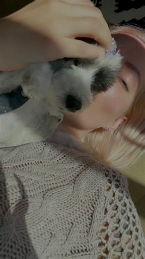 Unconditional Love: The Bond Between a Human and Their Dog