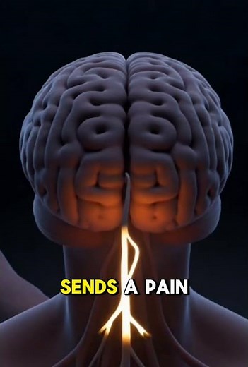 The real reason you get "Brain Freeze" 🥶||science facts||
