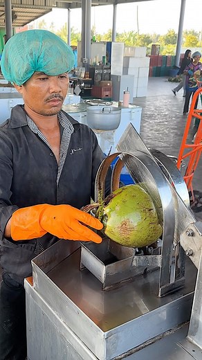 Coconut Peeling & Coconut Meat Extraction #coconut #fyp #viral | Travelicious