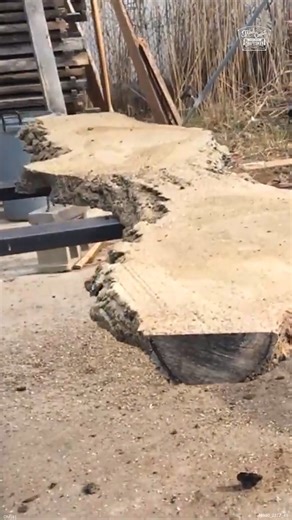 9.2K views · 25 reactions | Making Stunning Slabs From a GIANT Walnut Log #sawmill #lumber #log #walnut | Third Coast Craftsman | Facebook