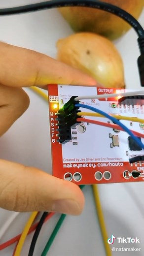 Makey Makey Sampler com Frutas e Legumes