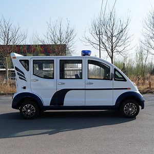 [Hot Item] Compact Electric Buggy Car for Farm Use with 4 Seats