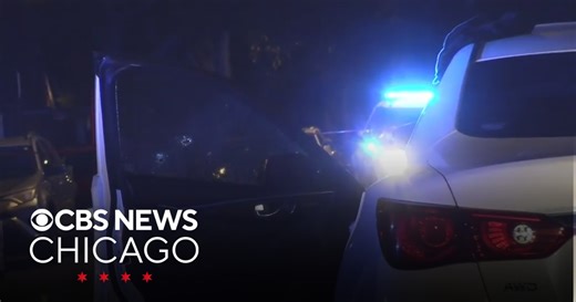 Man in his 20s shot and killed on Chicago's South Side