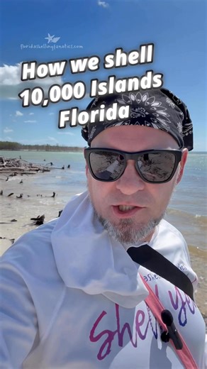 Shelling the 10,000 Islands with Shell Camp Florida! 🌴🐚 Sand Dipper stick? Check. Boat shoes? Check. Treasures? Always. Links in the comments! 👇 | Florida Shelling Fanatics