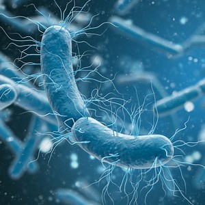 543K views · 10K reactions | 6 High Fiber foods you should Eat everyday. | Doctor ASKY | Facebook