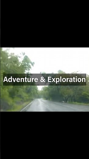 Daintree Rainforest Adventure 🌿 | Exploring Australia’s Oldest Jungle