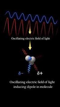 Why the Sky Is Blue (Rayleigh Scattering Explained)