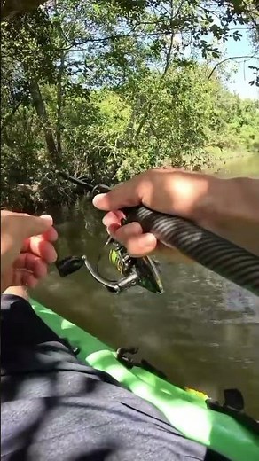 Catching Minnows with Cast Net & Creek Fishing Tips #livebait #kayakfishing