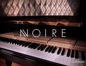 Native Instruments Noire v1.1.0 KONTAKT