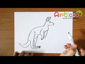 Learn to Draw Cartoon Kangaroo Easy