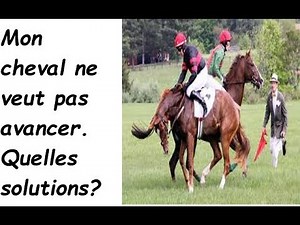 Que faire quand mon cheval n'avance pas à pied ou en selle?