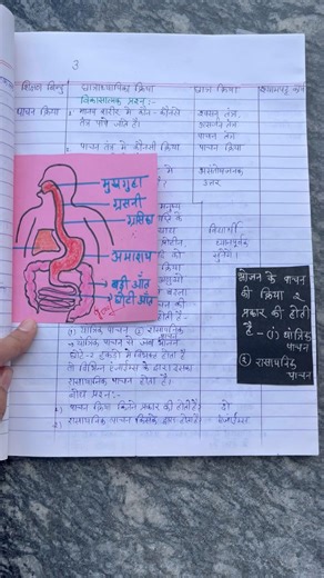 B.Ed lesson plan #bstc / पाचन तंत्र दैनिक पाठ योजना /daily lesson plans Bstc #D.El.Ed / डी.एल.एड