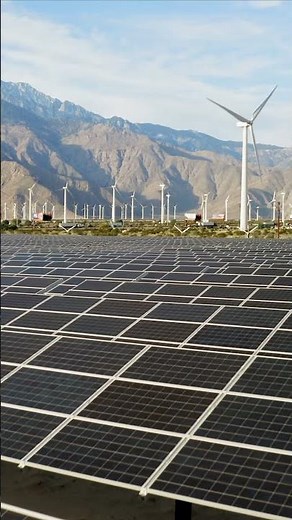 Carbon Credits | What Is A Carbon Offset