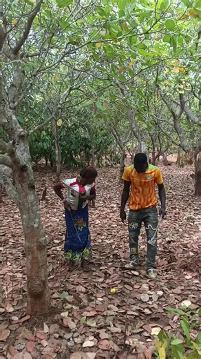 L'amour pour toujours: Une célébration TikTok